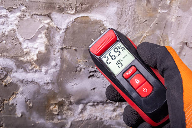 Best Mold Testing  in Le Sueur, MN
